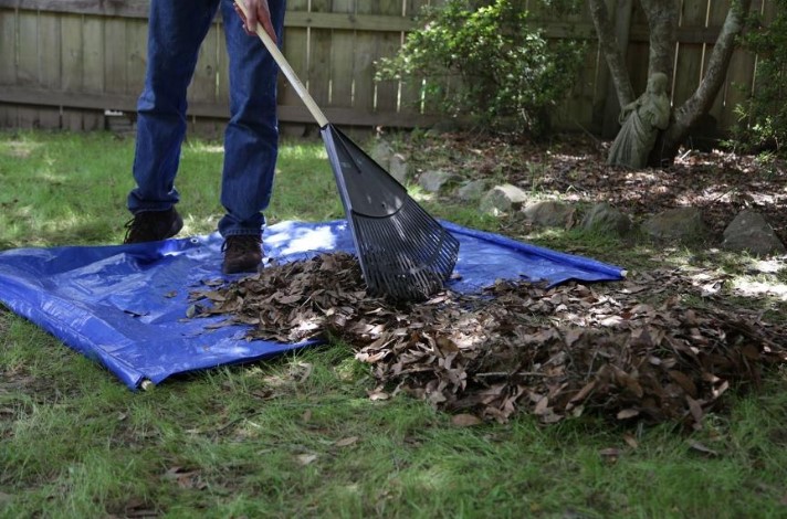 Man raking leaves onto a tarp.