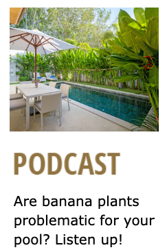 Copywriting sample about problematic banana plants