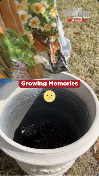 Growing Memories video preview image