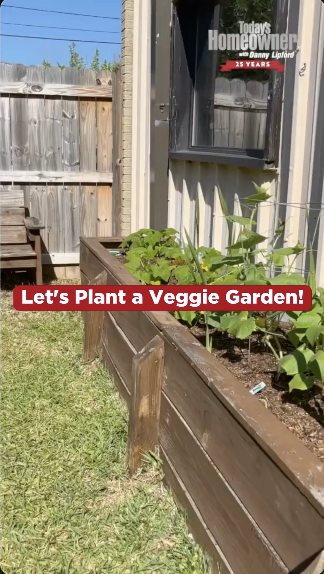 Planting a Vegetable Garden video preview image