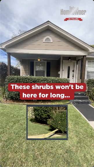 These Shrubs Won't Be Here for Long video preview image