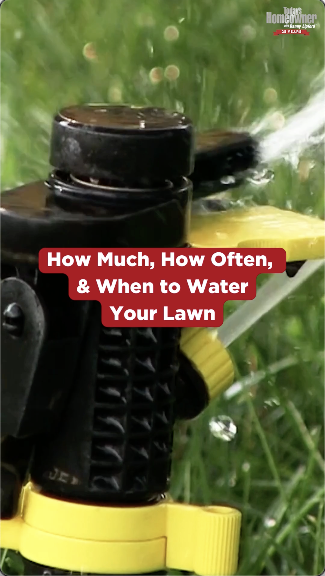 How Often to Water Your Lawn video preview image