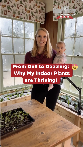 Video title for Why You Need Lights for Indoor Plants. By Thomas Boni.