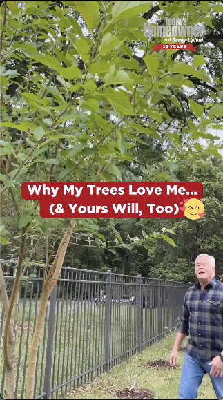 Video title for How to Fertilize Your Trees. By Thomas Boni.